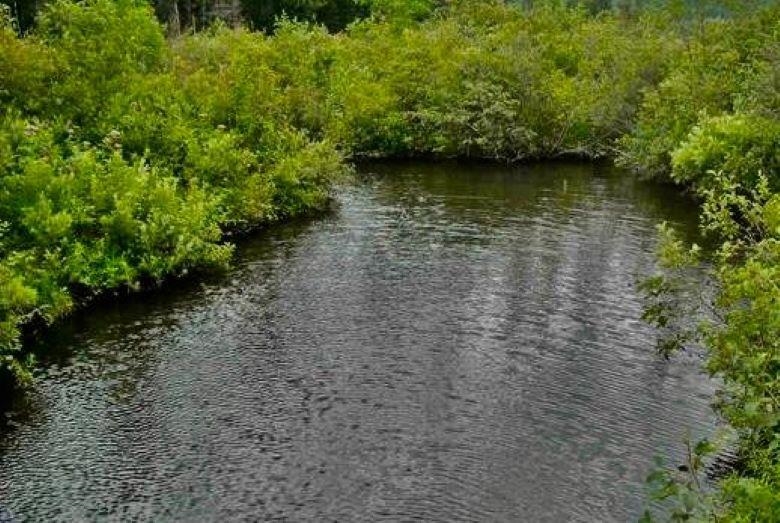 0 South Barton Road Barton, VT 05822 - Photo 3 of 11