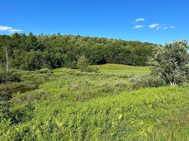 0 South Barton Road Barton, VT 05822 - Photo 4 of 11