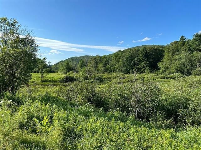 0 South Barton Road Barton, VT 05822 - Photo 5 of 11