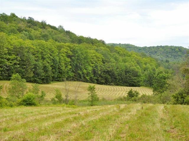 0 South Barton Road Barton, VT 05822 - Photo 6 of 11