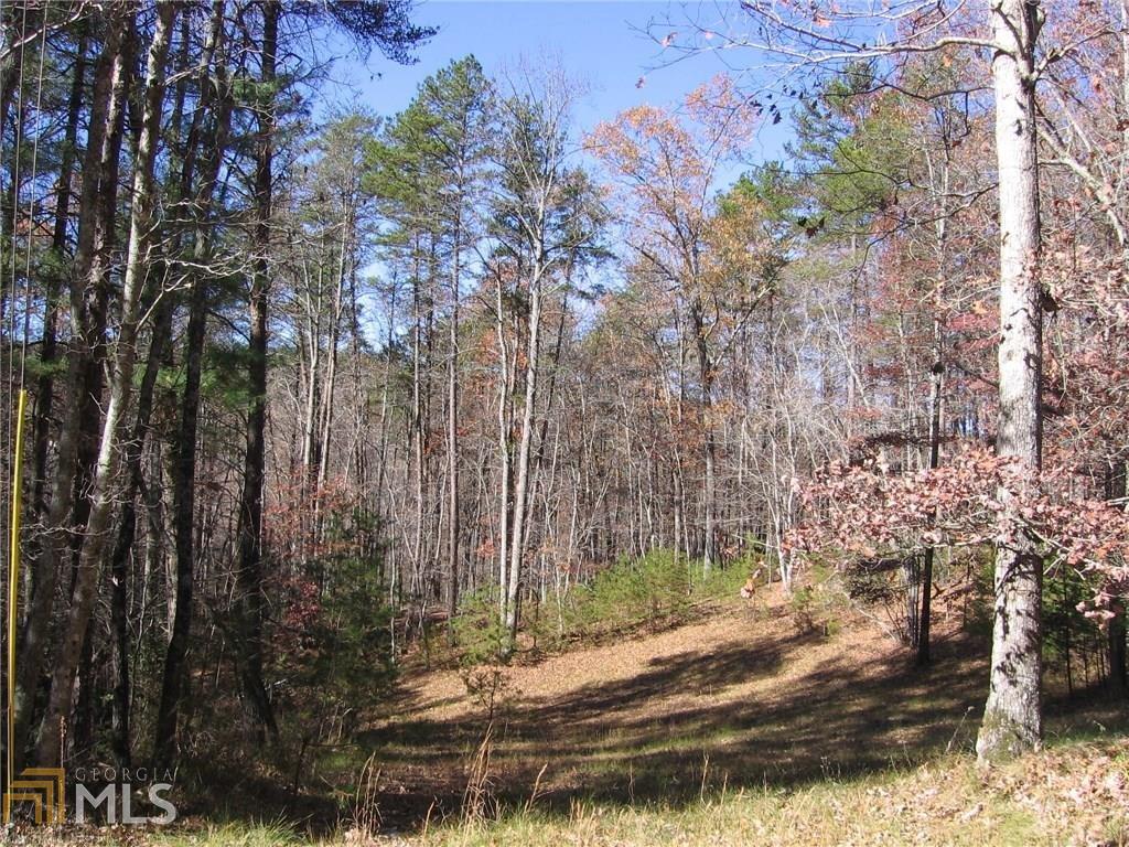 71 Yellow Bluff Road Dahlonega, GA 30533 - Photo 1 of 1 Gallery Image 1
