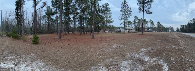 163 Dellwood Road Swainsboro, GA 30401 - Photo 2 of 23 a view of dirt yard with a trees