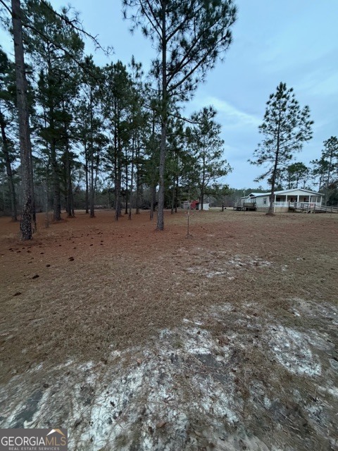 163 Dellwood Road Swainsboro, GA 30401 - Photo 3 of 23 a view of dirt yard with trees