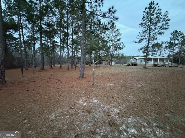 163 Dellwood Road Swainsboro, GA 30401 - Photo 5 of 23 a view of dirt yard with a trees