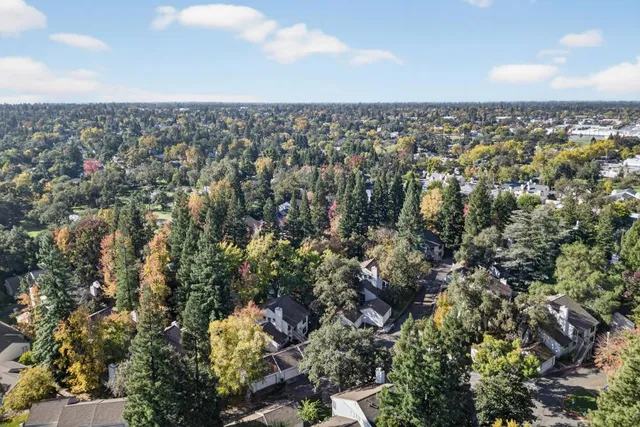 a view of a garden with plants and flowers