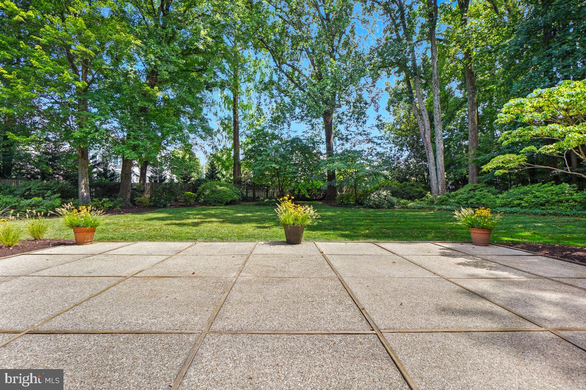 11321 Marcliff Road North Bethesda, MD 20852 - Photo 43 of 48 a view of a park with plants and trees