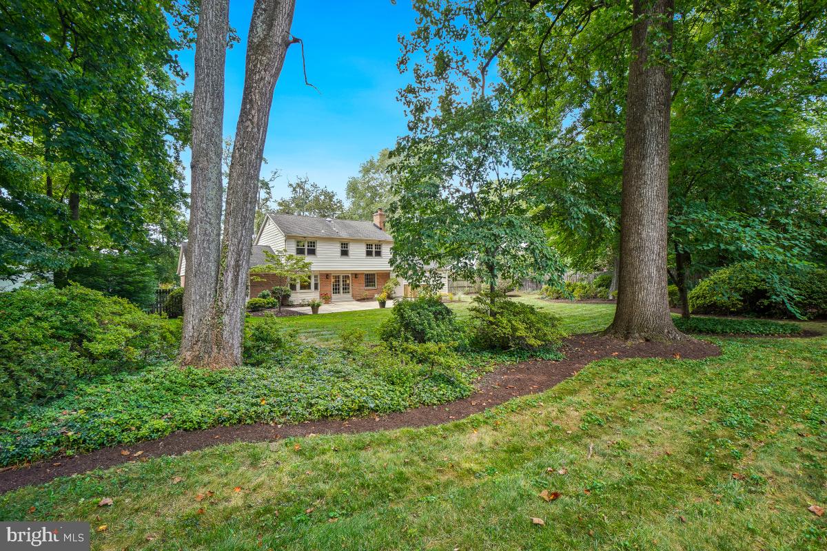 11321 Marcliff Road North Bethesda, MD 20852 - Photo 45 of 48 a view of a garden with plants