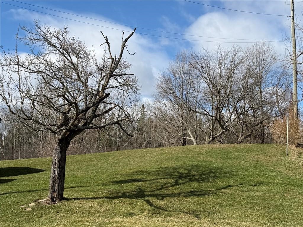 9580 Lodi Center Road Lodi, NY 14860 - Photo 10 of 12