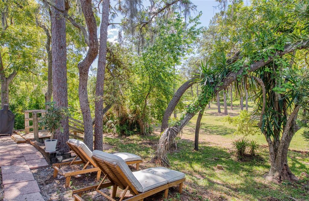 2182 Trevor Road Palm Harbor, FL 34683 - Photo 50 of 61