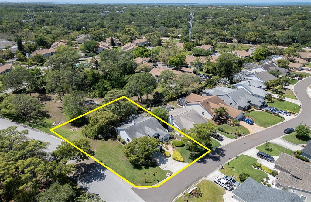 2182 Trevor Road Palm Harbor, FL 34683 - Photo 51 of 61