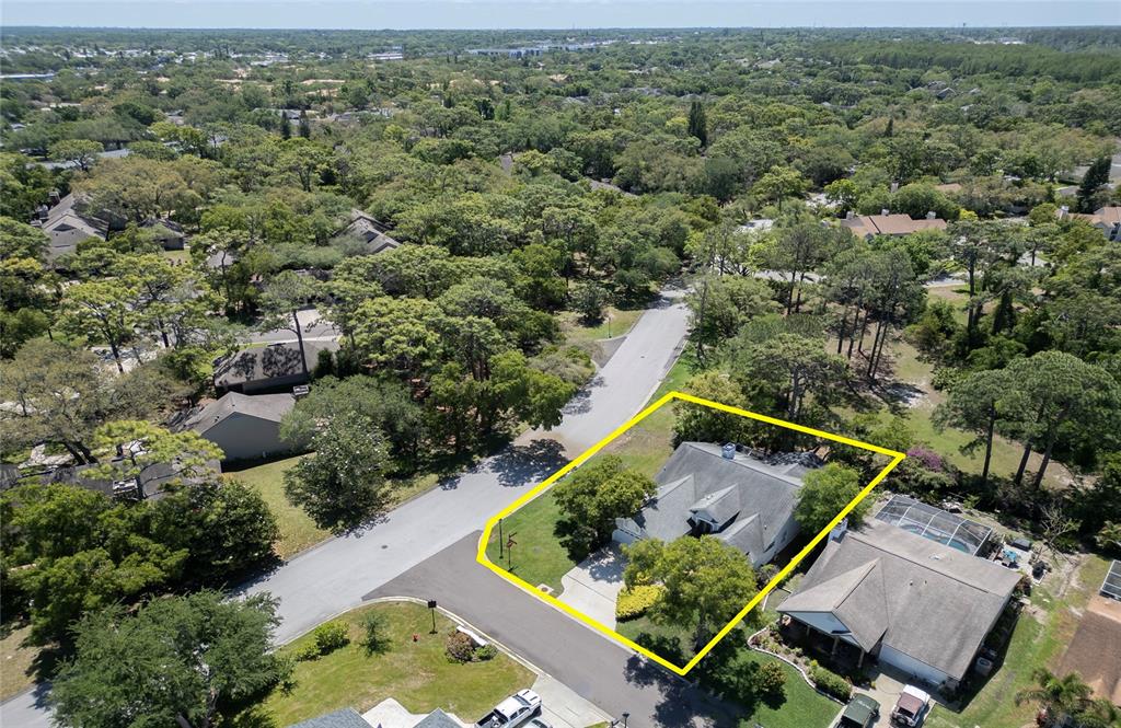 2182 Trevor Road Palm Harbor, FL 34683 - Photo 52 of 61