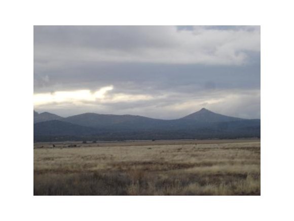 24512 North Big Springs Ranch Road Paulden, AZ 86334 - Photo 1 of 21 Primary Photo