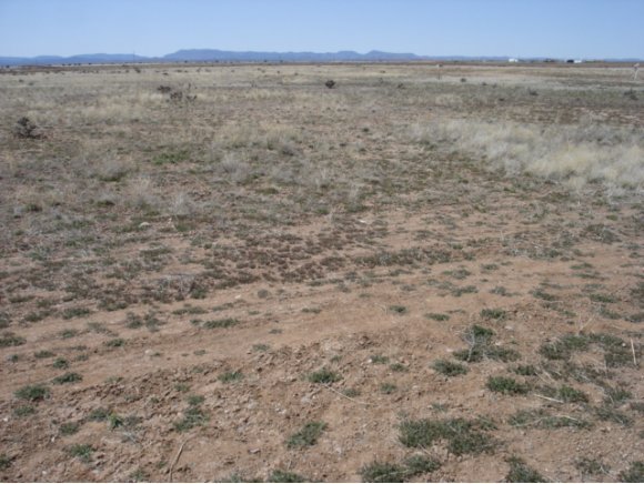 24512 North Big Springs Ranch Road Paulden, AZ 86334 - Photo 20 of 21 Additional Photo