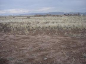 24512 North Big Springs Ranch Road Paulden, AZ 86334 - Photo 8 of 21 Additional Photo