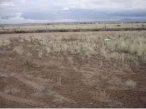 24512 North Big Springs Ranch Road Paulden, AZ 86334 - Photo 9 of 21 Additional Photo