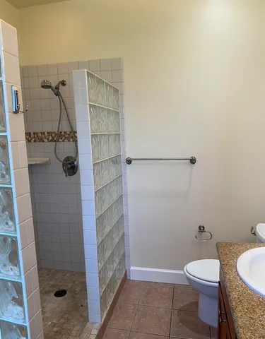 a bathroom with a shower and a toilet