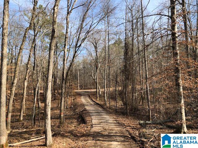 1919 Mt Gilead Road, Unit 9 21 Jacksonville, AL 36265 - Photo 37 of 39
