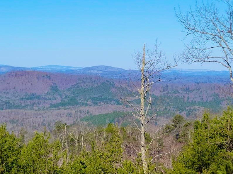Lot 14 Patriot Ridge Murphy, NC 28906 - Photo 22 of 25