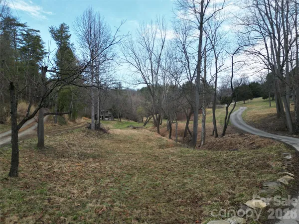 a view of backyard with green space
