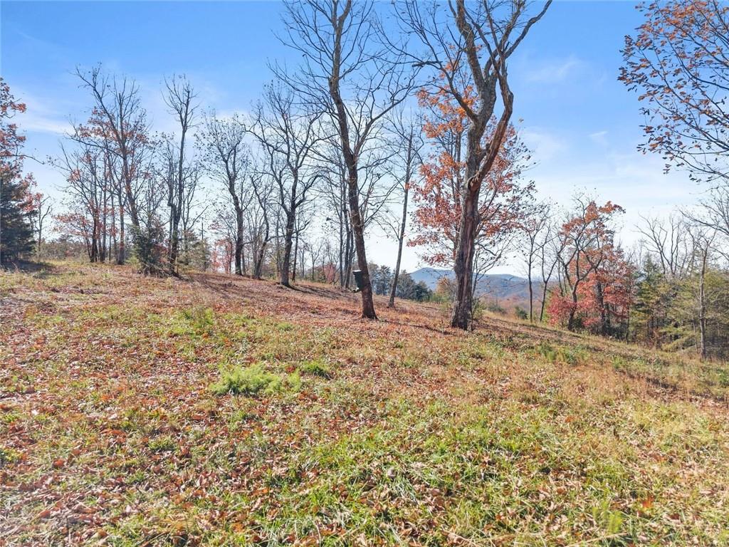 0 Helton Road Cleveland, GA 30528 - Photo 6 of 79 Gallery Image 6