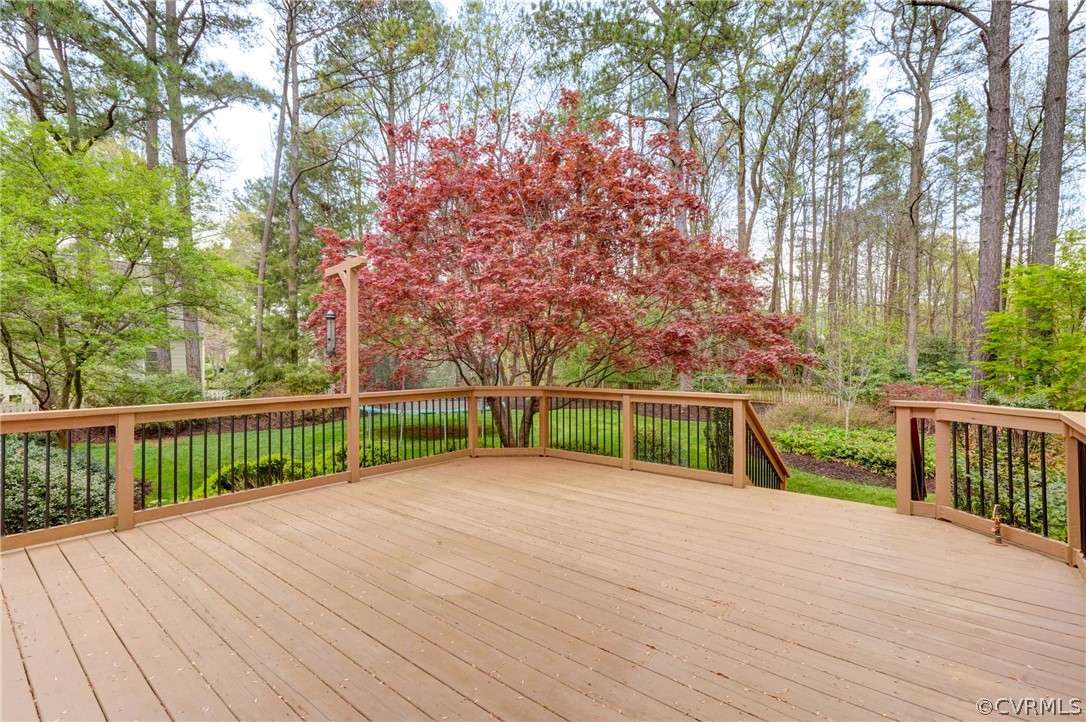 2931 Park Ridge Road Midlothian, VA 23113 - Photo 42 of 50 Gallery Image 42
