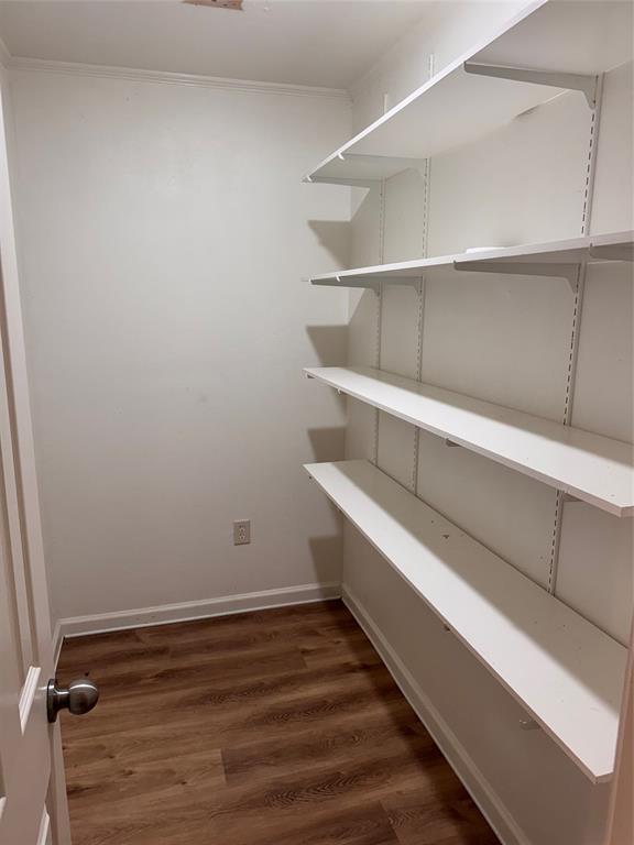 5541 3rd Street Nevada, TX 75173 - Photo 12 of 13 Pantry