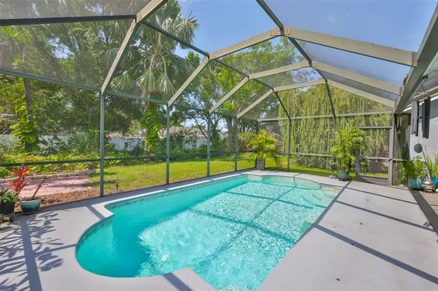 a view of a park with a tree