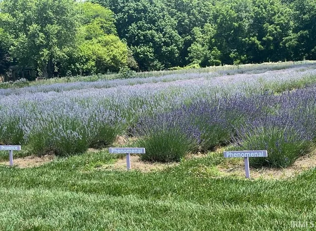 $775,000 | 69590 County Road 21, New Paris, IN 46553