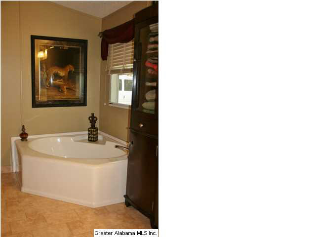 8141 Serene Lake Road McCalla, AL 35111 - Photo 18 of 32