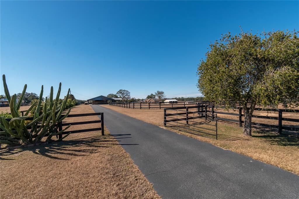 12610 Northwest Gainesville Road Reddick, FL 32686 - Photo 6 of 90