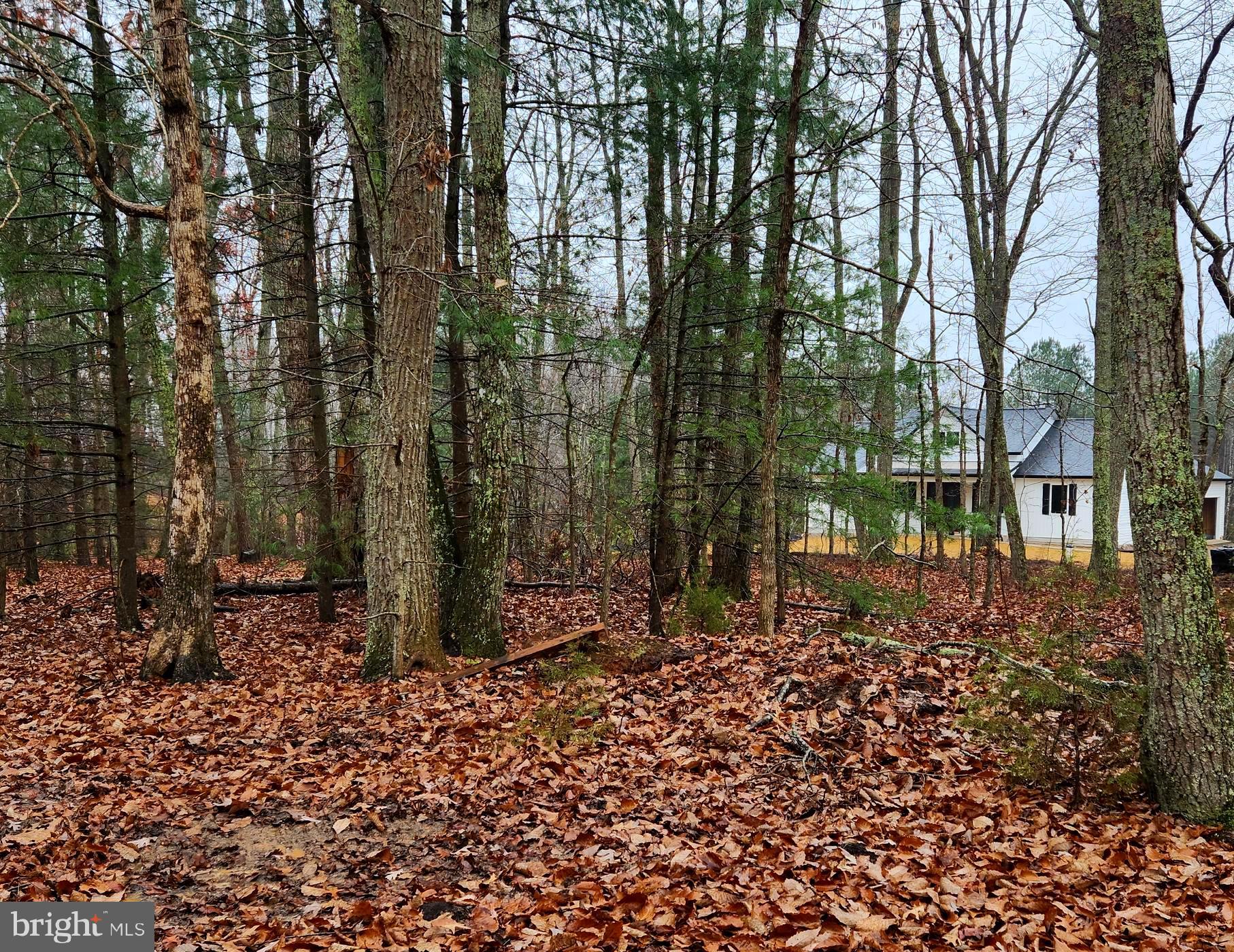 15446 Shirley Road Unionville, VA 22567 - Photo 5 of 32 Gallery Image 5