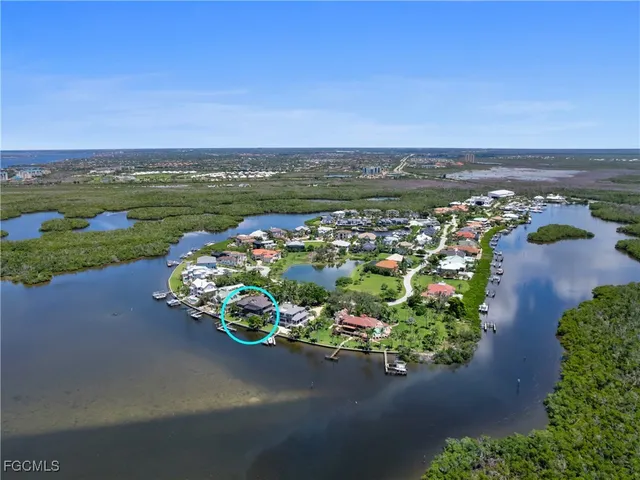 a view of a park with large trees