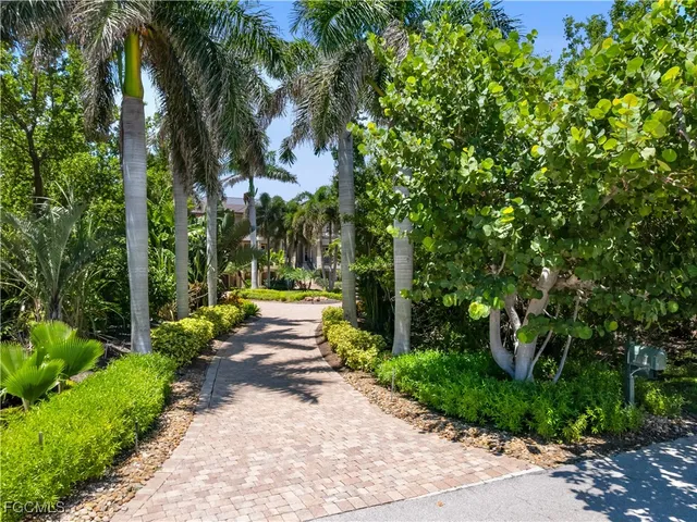 a view of garden with palm trees