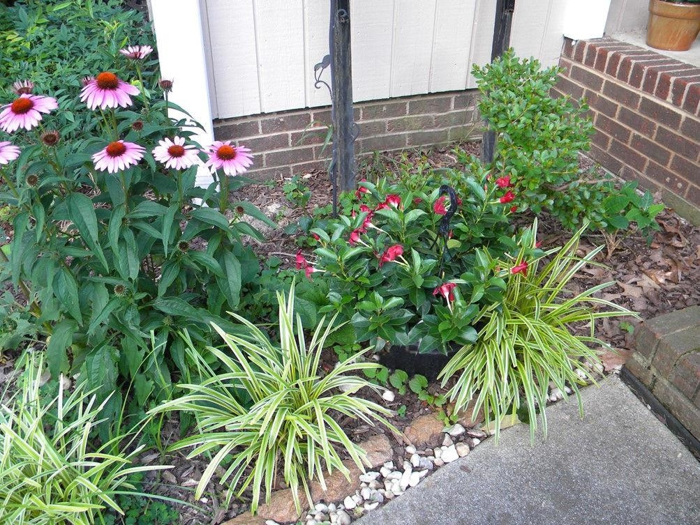 7409 Peppercorn Court Raleigh, NC 27613 - Photo 47 of 47 Spring/Summer Flowers