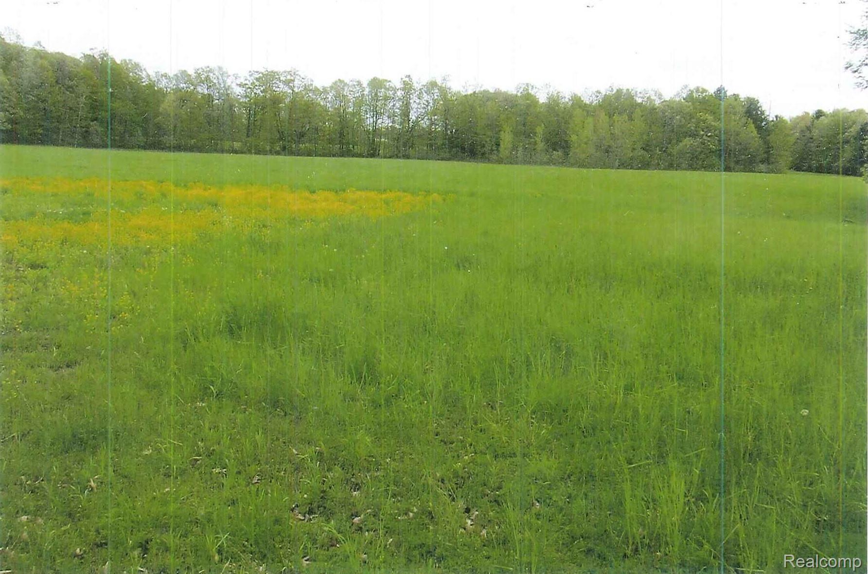 2 Latson Road Howell, MI 48855 - Photo 2 of 8 Latson 2.jpg
