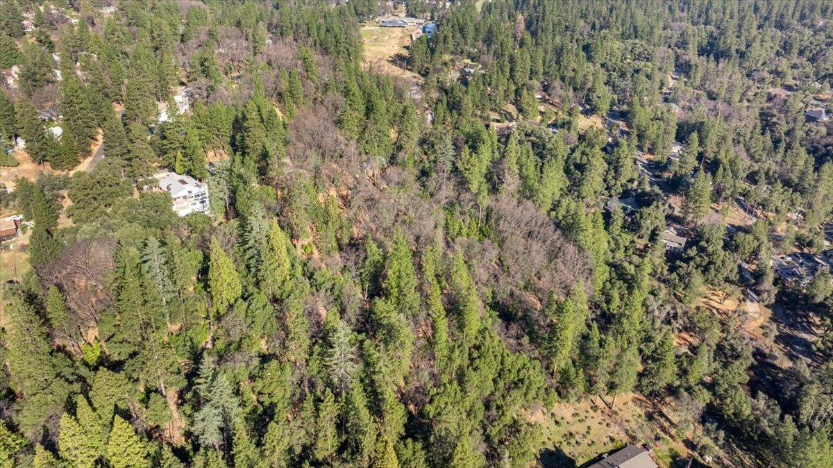 16929 Lawrence Way Grass Valley, CA 95949 - Photo 15 of 27 a view of a yard