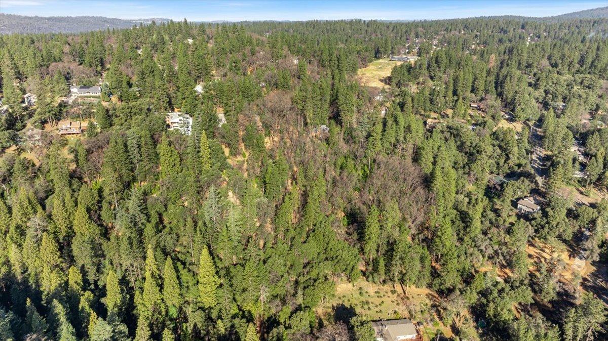 16929 Lawrence Way Grass Valley, CA 95949 - Photo 16 of 27 a view of a city with lush green forest