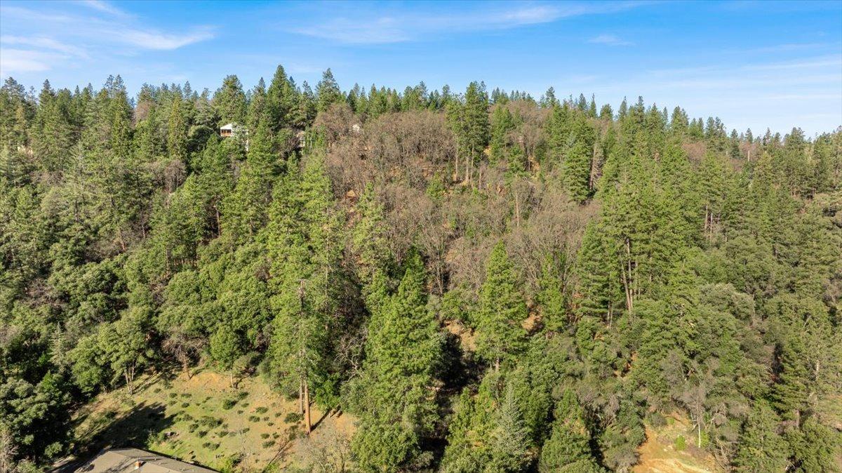 16929 Lawrence Way Grass Valley, CA 95949 - Photo 17 of 27 a view of a city with lush green forest