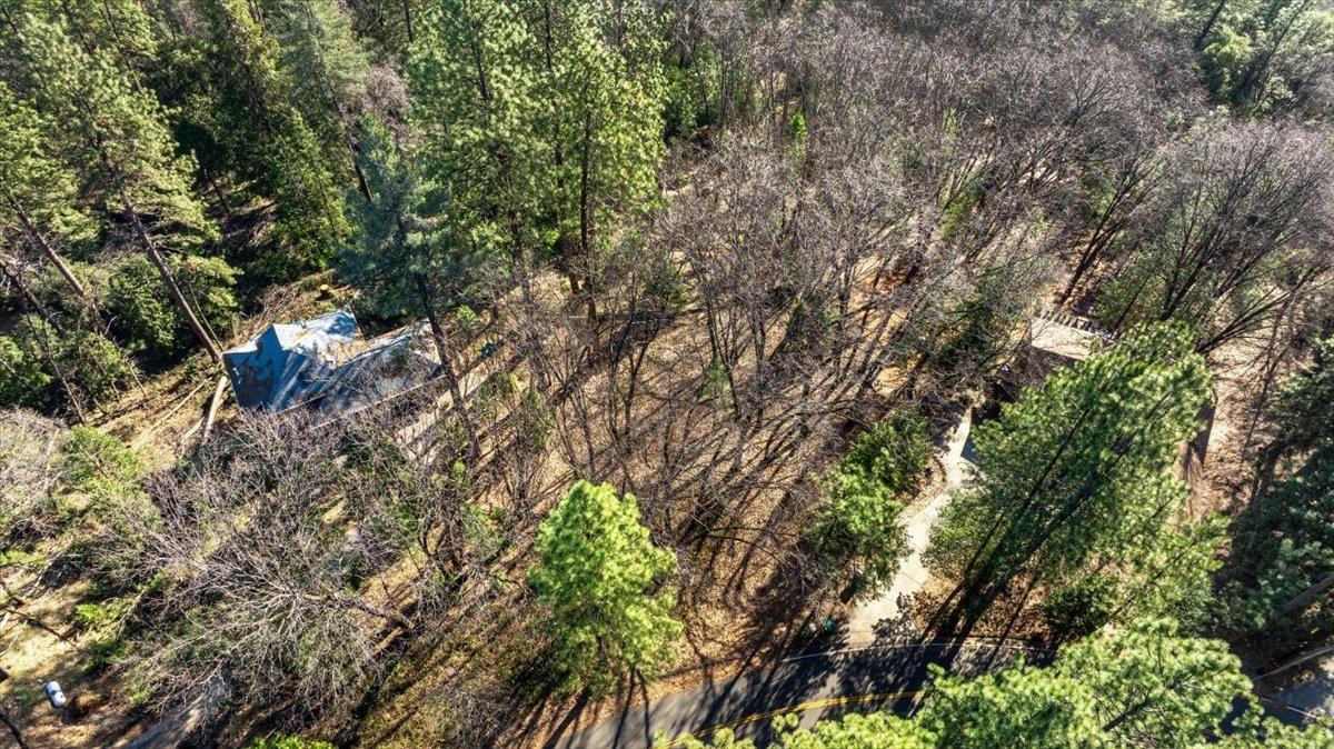 16929 Lawrence Way Grass Valley, CA 95949 - Photo 22 of 27 a view of a tree in a garden