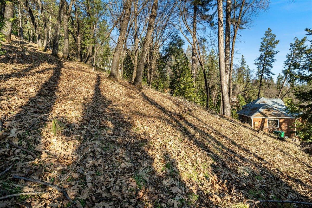 16929 Lawrence Way Grass Valley, CA 95949 - Photo 4 of 27 a view of a yard with plants and trees