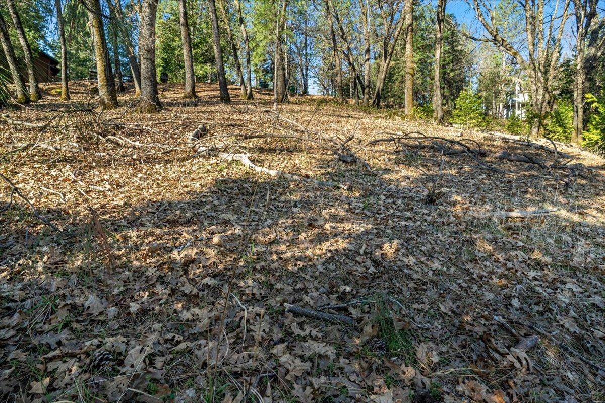 16929 Lawrence Way Grass Valley, CA 95949 - Photo 6 of 27 a fire hydrant in the middle of a field