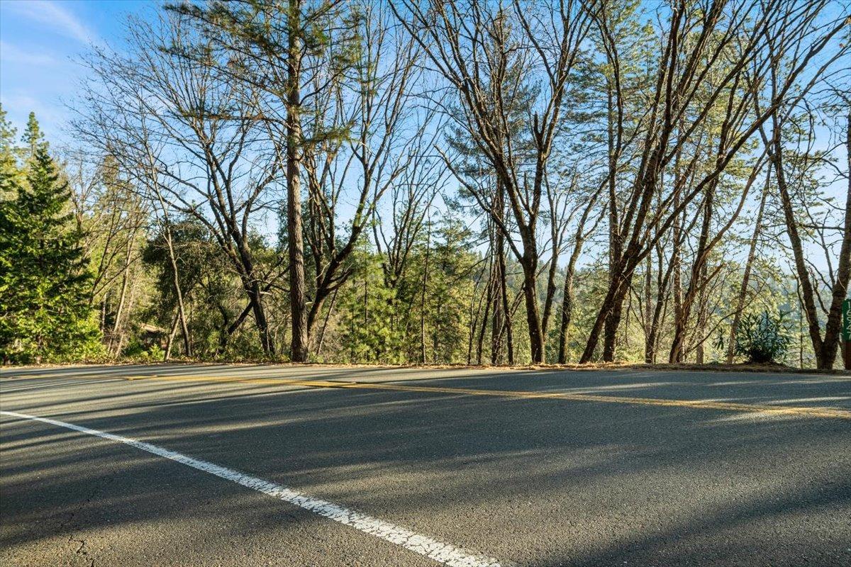 16929 Lawrence Way Grass Valley, CA 95949 - Photo 8 of 27 a view of a green field of apartments with large trees