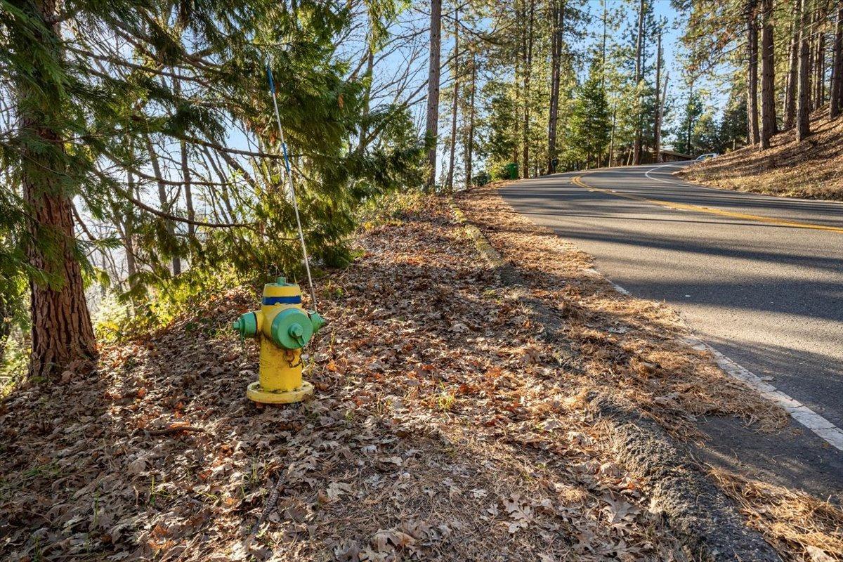 16929 Lawrence Way Grass Valley, CA 95949 - Photo 9 of 27 a view of a yard with large trees
