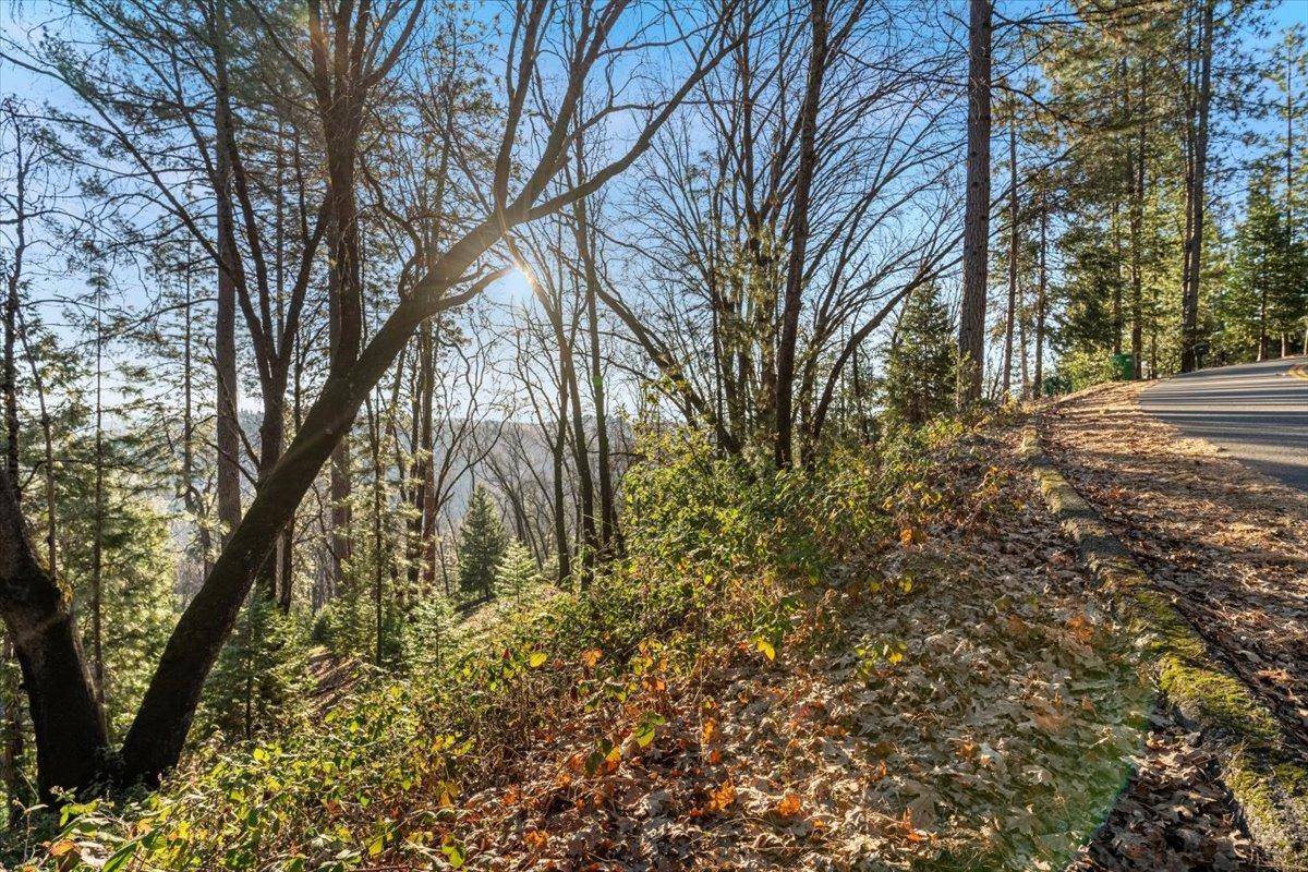 16929 Lawrence Way Grass Valley, CA 95949 - Photo 10 of 27 a yard with tall trees