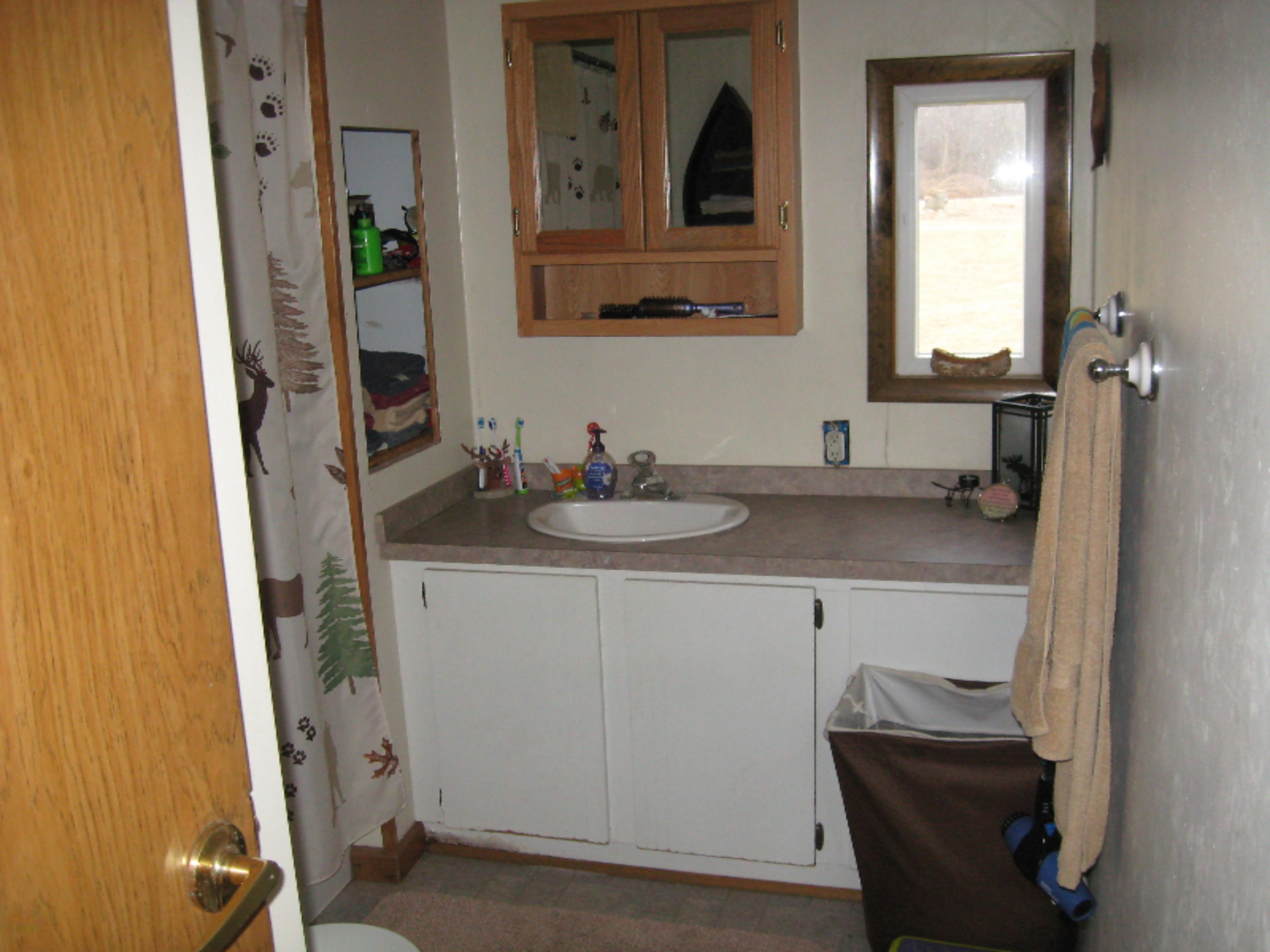 1184 Burbank Road Quincy, MI 49082 - Photo 16 of 22 1184 Burbank Rd Quincy 009.JPG