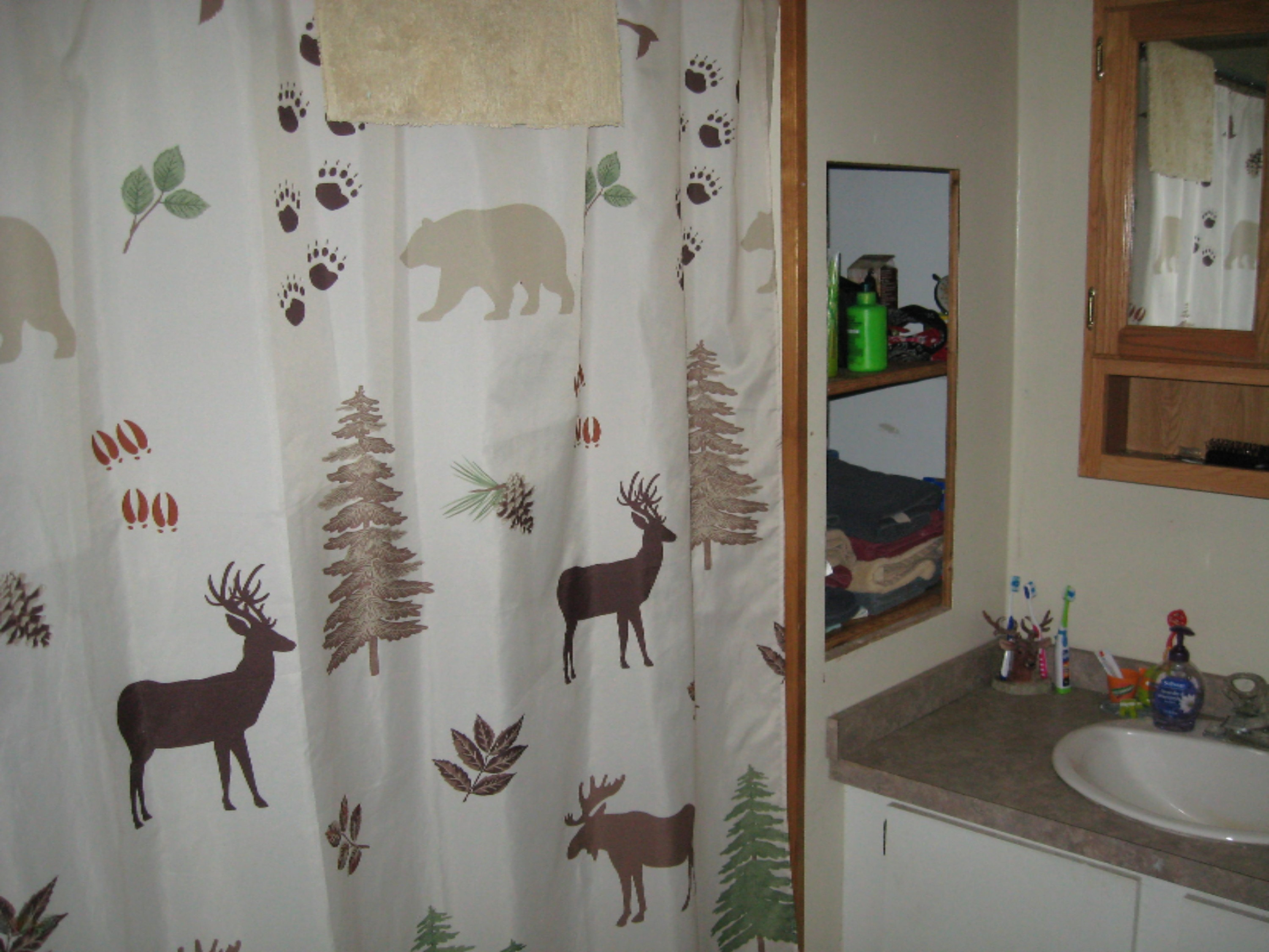 1184 Burbank Road Quincy, MI 49082 - Photo 17 of 22 1184 Burbank Rd Quincy 010.JPG