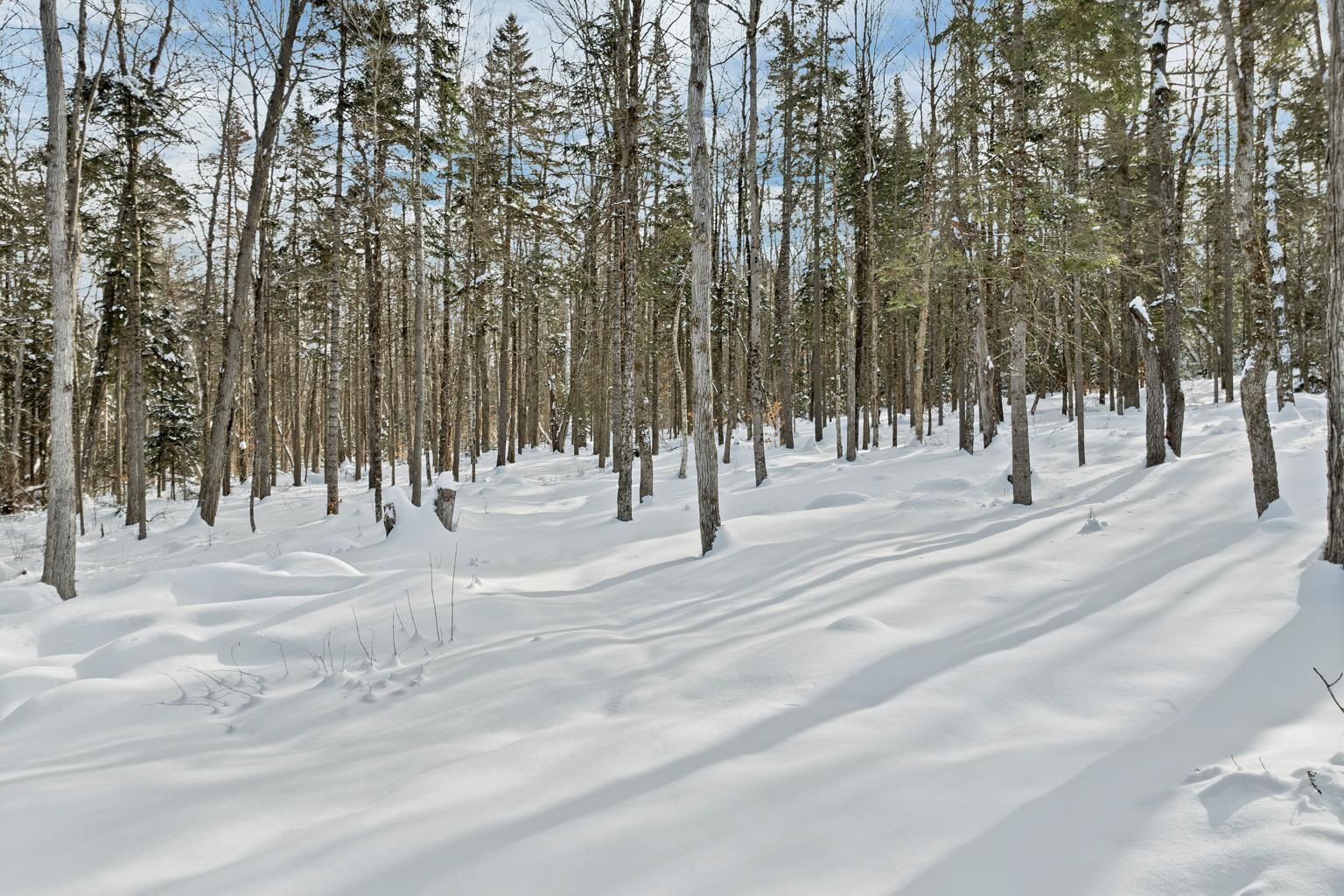 682 Philbrick Hill Road Springfield, NH 03284 - Photo 14 of 58