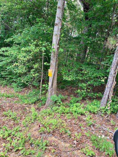 37 Rd Guin Al Winfield, AL 35594 - Photo 1 of 2 Gallery Image 1