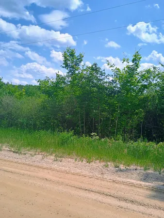 $90,000 | 0 Pontius Road Southeast, Kalkaska, MI 49646