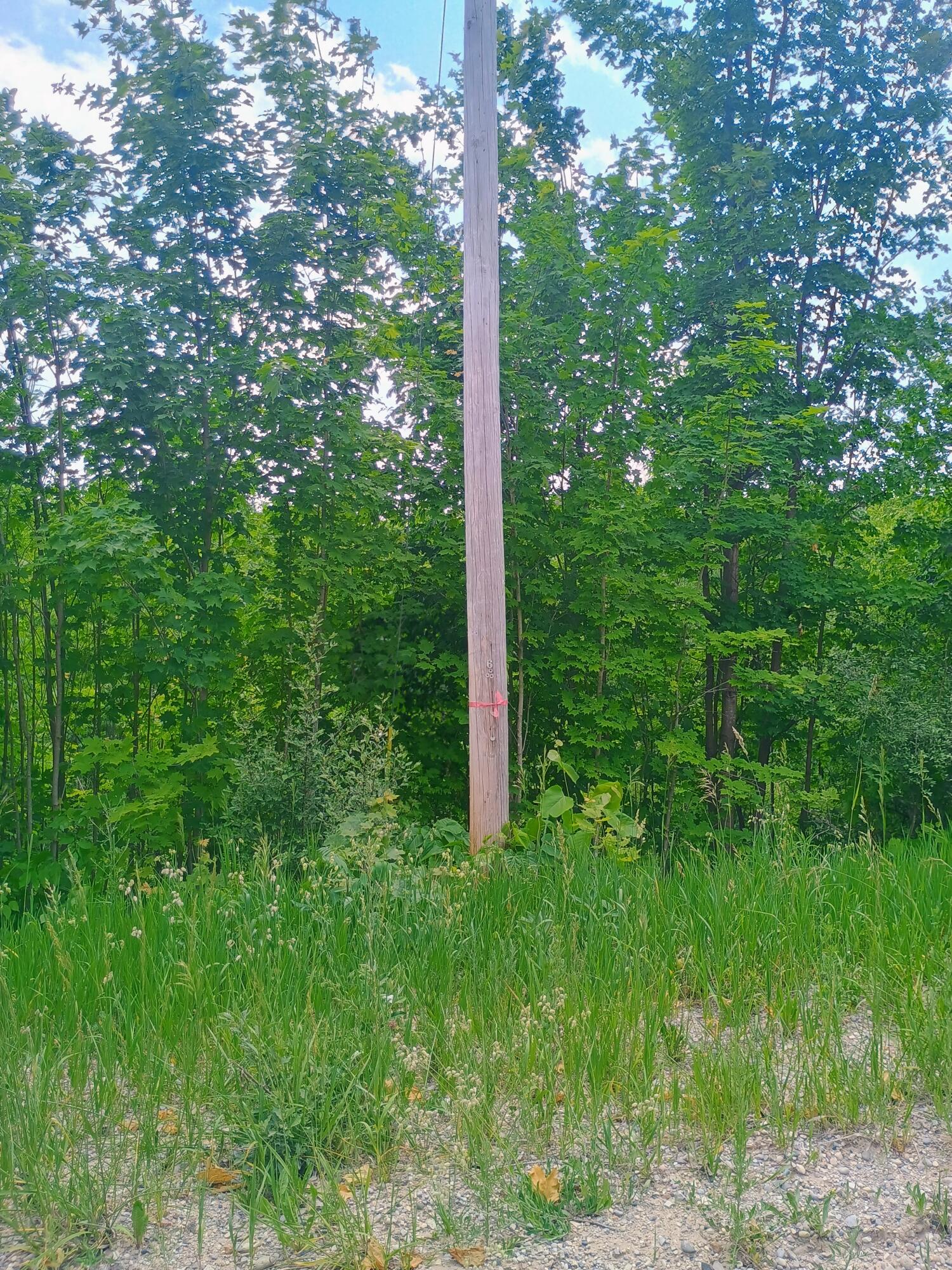 0 Pontius Road Southeast Kalkaska, MI 49646 - Photo 2 of 4 1000008043